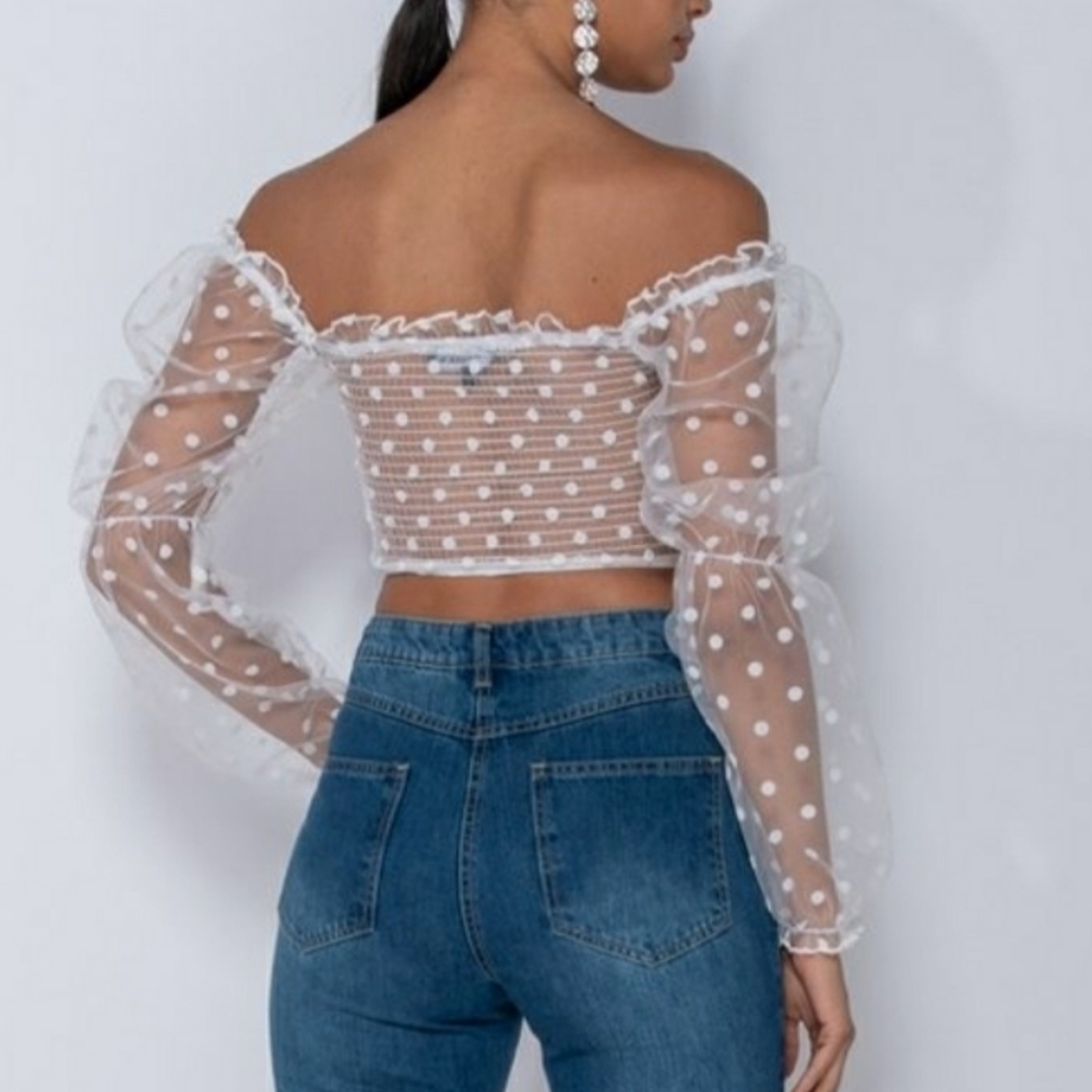 Polka Dot Sheer Crop Top